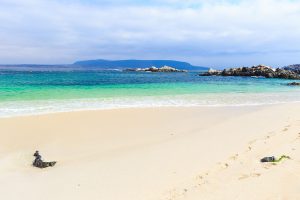 Bahia Inglesa en la Región de Atacama