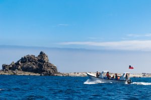 Reserva Pinguinos de Humboldt en Región de Coquimbo