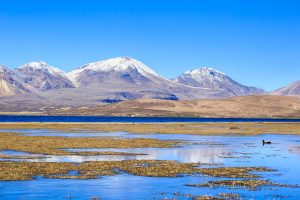 Lago Chungara, Región de Arica y Parinacota