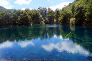 Parque Nacional Conguillío: 6 mejores lugares para ver el otoño en Chile