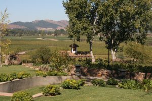Valle del Maule Loncomilla