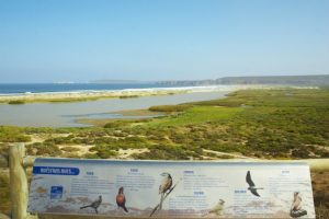Laguna Conchalí en humedal de la región de Coquimbo