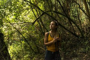 Trekking en el sur, tendencias y viajes en Chile