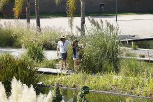 Verano en Santiago: Pasear por el parque Bicentenario
