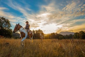 Cabalgatas en los 7 días de la Araucanía andina