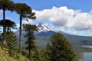 7 días en La Araucanía para visitar el Parque Nacional Conguillío