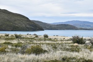 Self drive en la Patagonia, camino a Torres del Paine
