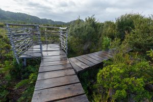 Vista al Mirador en una excursión en el Parque Nacional Chiloé