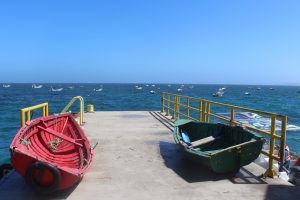 Viaje al norte de Chile para conocer la Reserva Nacional Pingüino de Humboldt