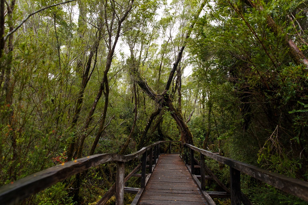 Excursión al Parque Nacional Chiloé: Relato de una experiencia - Chile es TUYO