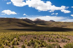 Viajar al norte de Chile y visitar los paisajes del altiplano