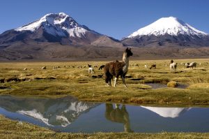 3 días en Arica y en el altiplano chileno