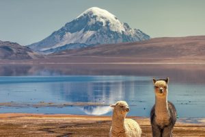 Mejor destino de naturaleza en los World Travel Awards 2019