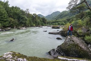 majestuosos paisajes en las reservas nacionales de Chile