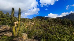 Parque Nacional La Campana