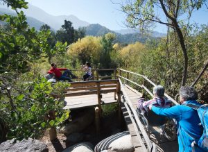 rio clarillo