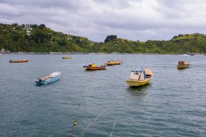 Imagen de Bahía Mansa