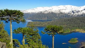Parque Nacional Conguillio