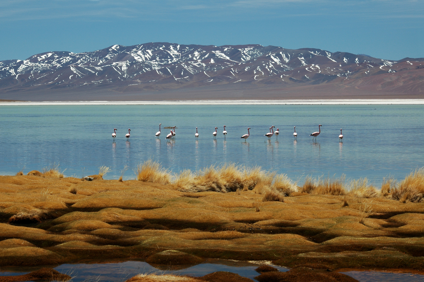 Laguna Santa Rosa - Chile es TUYO