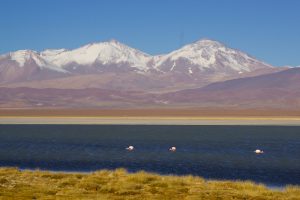 Imagen del Volcán Ojos del Salado