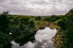 Parque Parque Nacional Chiloé