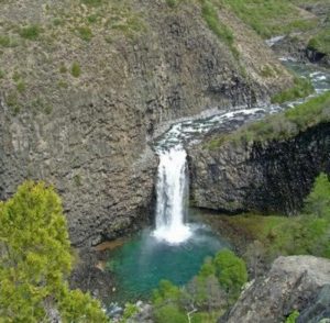 Reserva Nacional Ñuble