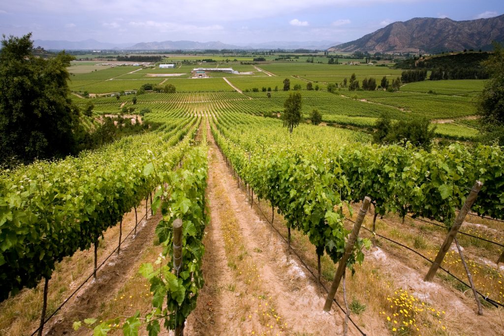Descubre el Valle de Colchagua: vinos, museos y experiencias únicas ...