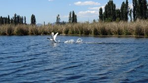 Imagen de la laguna de Quillón