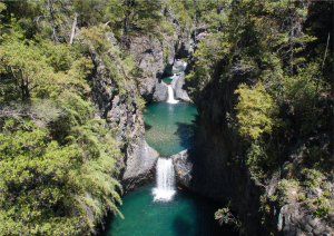 radal 7 tazas mirador