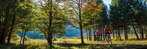 Imagen de dos turistas recorriendo Coyhaique en bicicleta