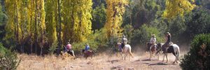 Imagen de gente paseando a caballo en Machalí