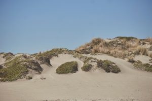 Dunas de Quintero