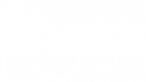 logo patagonia