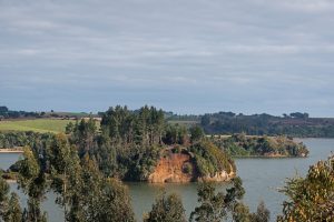 Imagen panorámica del Lago Budi y su verde vegetación