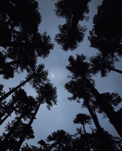 Imagen del Eclipse en el sur de Chile