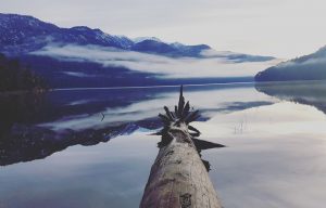 Postal del Lago Icalma en la región de la Araucanía