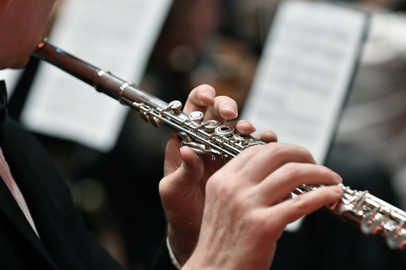 Concierto de flauta
