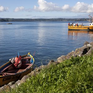 Botes de pescadores en la bahía