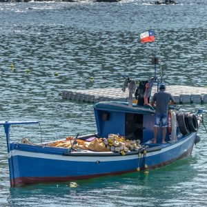 Bote de pesca con pescadores adentrándose