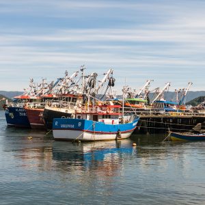 Vista de barcos estacionados en el muelle de la bahía