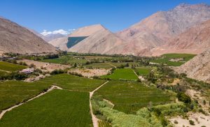 Vista panoramica de Valle del Elqui