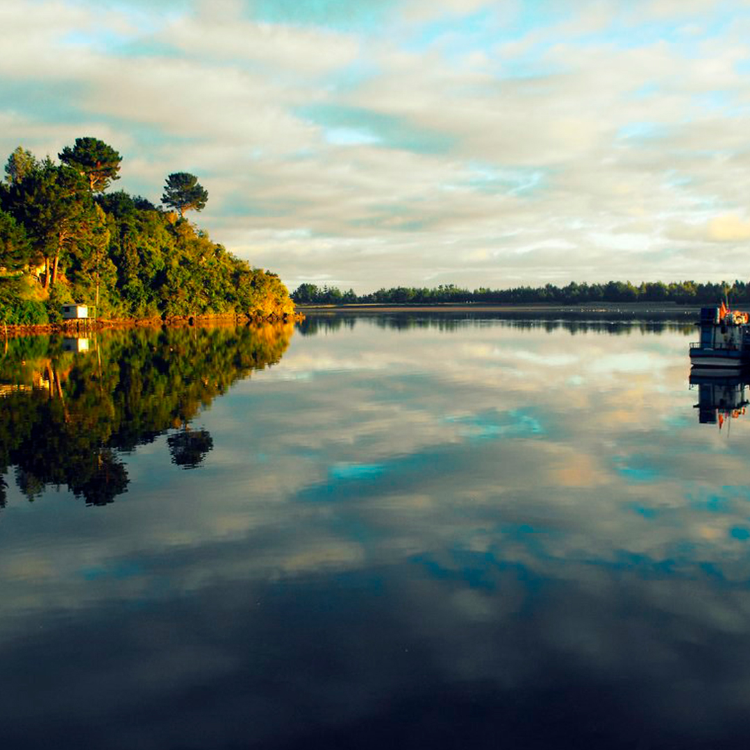 fotografía río queule