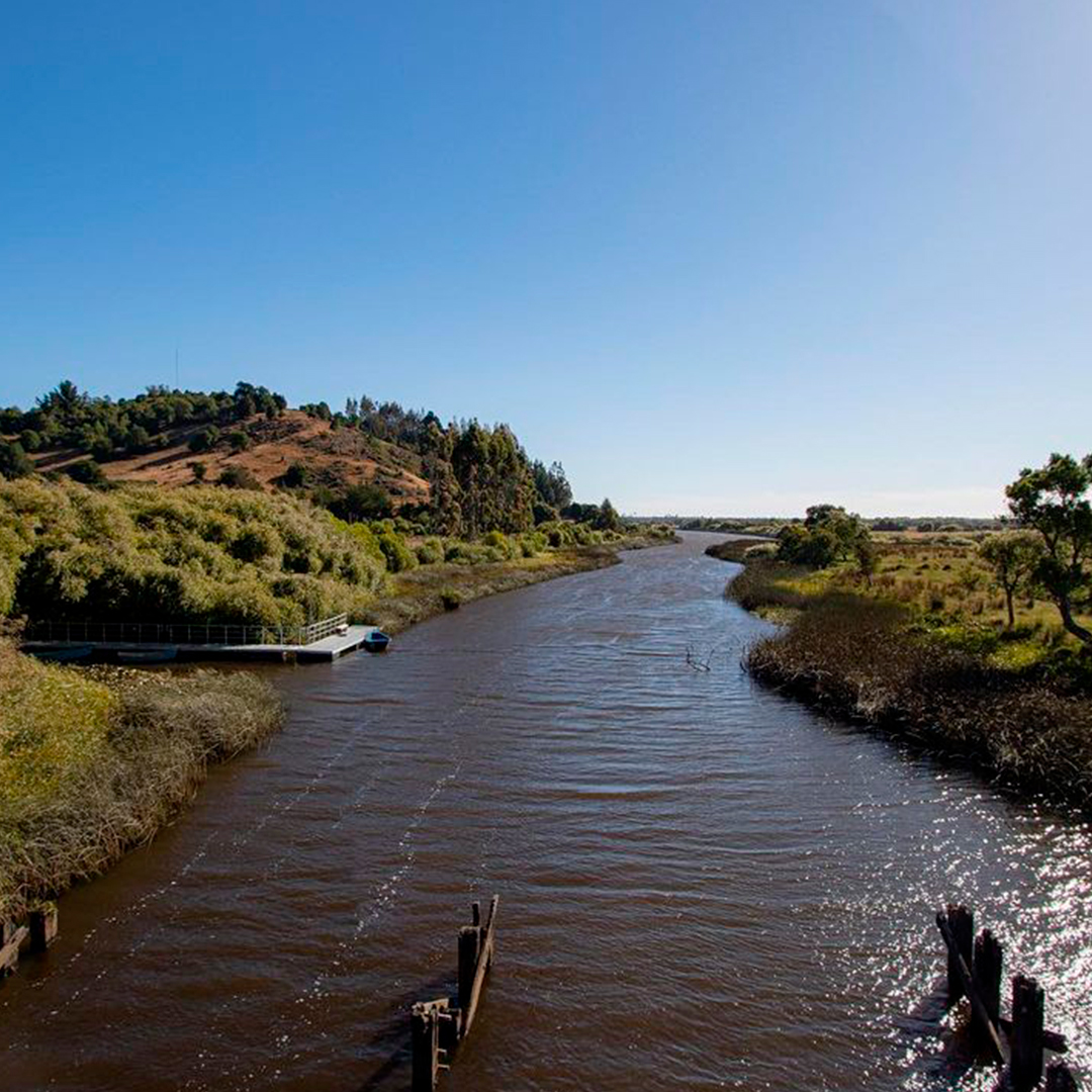 vista caudal río