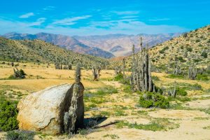 Vista panorámica de paisaje del parque nacional pan de azúcar