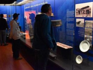 hombre admirando vitrina en exposición