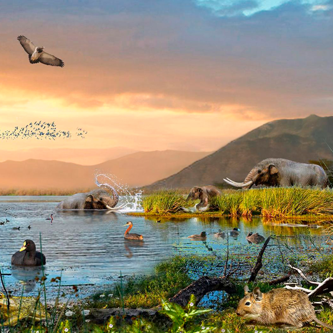 imagen animales prehistoricos conviviendo mismo habitat