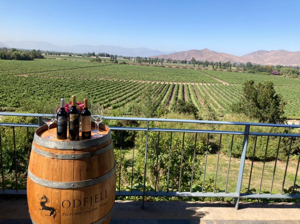 enoturismo valle del maipo