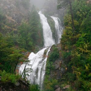 fotografía de cascada inmersa en la naturaleza