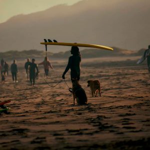 surfista con tabla en la cabeza acompañado de perros