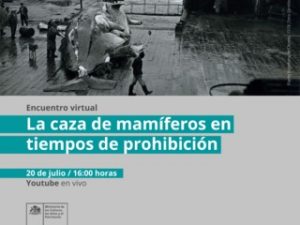 gráfica evento